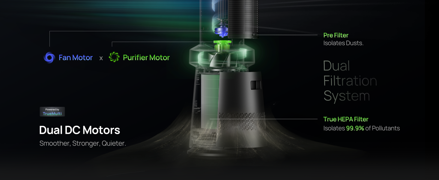Dual DC Motors